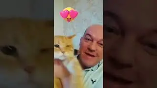 А вы знали, что любого животного можно оживить, просто программируя в Scratch?