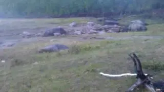 Ворота Кодара