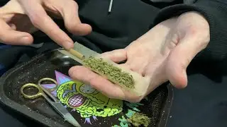 FUI PRA NÁRNIA COM ESSA FLOR - VLOG