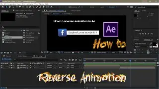 How to reverse animation in After Effect in a minute!