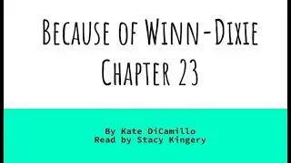 Because of Winn Dixie, Chapter 23