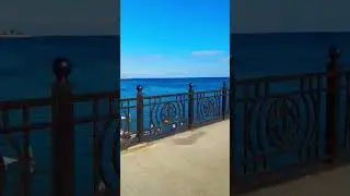 30 июля 2024 г.