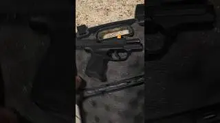 Sig Sauer P365