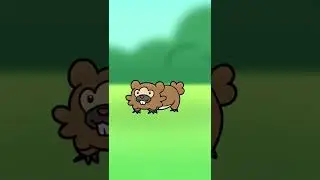A Wild Bidoof appeared!