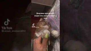 #top #aftereffects #remix #totalgaming #рекомендации #tiktok