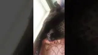 На Чили