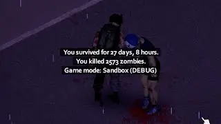 average project zomboid 27 day run