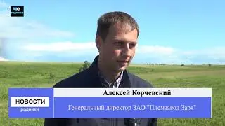 кормозаготовка