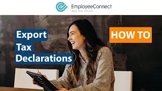 How to: Export Tax Declarations