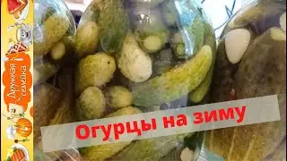 Огурцы маринованные на зиму