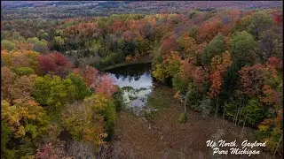 Up North, Gaylord. Pure Michigan