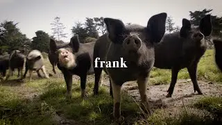 Have we lost access to our own food?