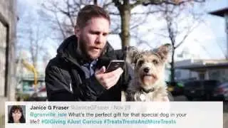 Granville Island - Pet Gifts!