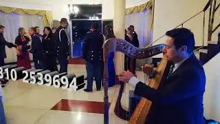 Arpista para eventos en Bogota.