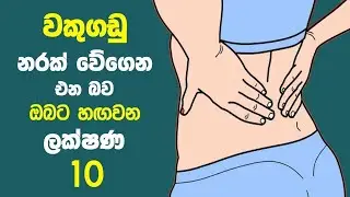වකුගඩු නරක් වේගෙන එන බව ඔබට හඟවන ලක්ෂණ 10 ක් - Signs Your Kidneys Are Not Working Properly