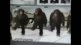 Ржака зажигательный танец обезьян
