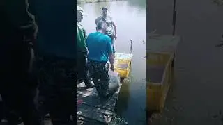 Отправить