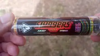 Sluggers 1.5G Temptation Strain Single Juiced Joint Unpackaging And Review
