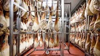 HOW the Most Expensive Iberian Ham is Made🍖| You Won't Believe What Happens During This Process!