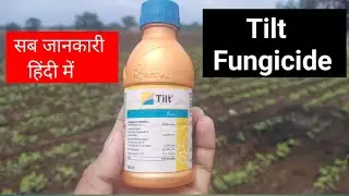 Tilt fungicide uses hindi || propiconazole 25% ec uses || a2afarming ||