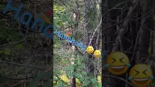 Inside Joke Hillclimb 🤣
