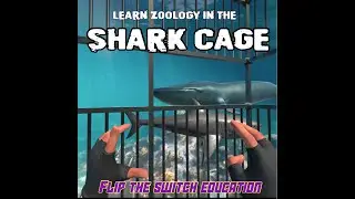 Virtual Reality Shark Cage