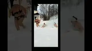 23 февраля 2024 г.