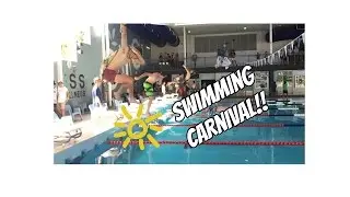 Swimming carnival fun!