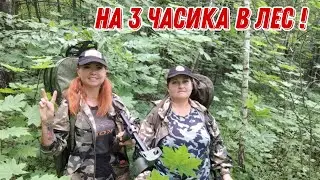 На 3 часика в лес... Банда Камрадов в поисках монет и старины. коп 18.06.24г