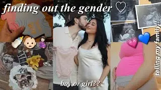 FINDING OUT THE GENDER * telling our parents, intimate gender reveal, gender ultrasound *