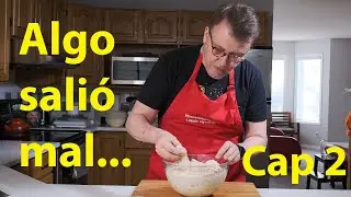 Experimento con Precultivo de Masa Madre descartada - MMNL Cap. 2