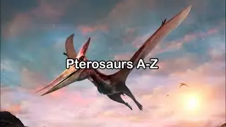 Pterosaurs A-Z