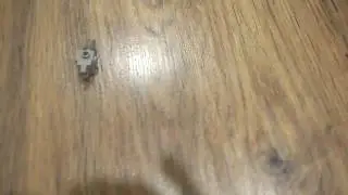 Животные из lego