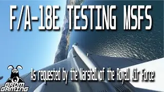 Grom putting the F/A-18E in MSFS to the test