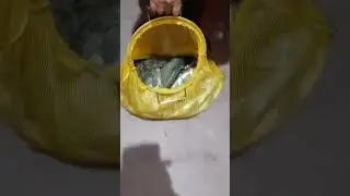 Έγραψε πάλι ο μάστορας