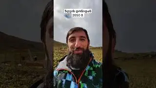 ზღვის დონიდა 2650 მეტრი. ლაგოდეხის დაცული ტერიტორიები #Blackrockslake #nature #mountain #Leone