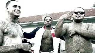 AL-D*300 - Shine (Official music video)