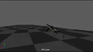 FPS animation third person pov