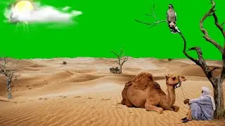 Free Green Screen Desert Background | Green Screen Background | Desert Green Screen Video