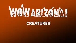 WOW Arizona 'Home' Creatures