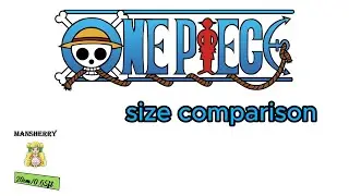 ONE PIECE CHARACTERS SIZE COMPARISON | COMPARISON VIDEO
