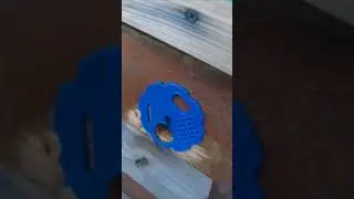 Охрана от непрошенных гостей.