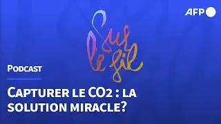 Capturer le CO2 : la solution miracle ?