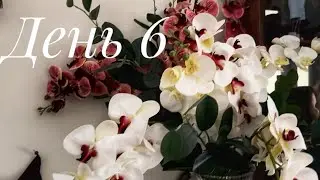 Неделя влогов. День 6. 