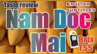 EP-14 നാം ഡോക് മൈ മാമ്പഴത്തിന്റെ രുചിയും മധുരവും / Nam Doc Mai Green Malayalam taste review TSS Brix