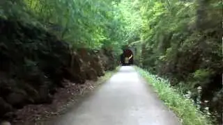 Chief Ladiga & Silver Comet Trail