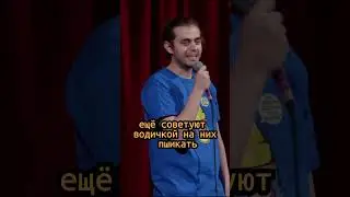 Ян Зубков. ГОЛУБИ НА БАЛКОНЕ. StandUp