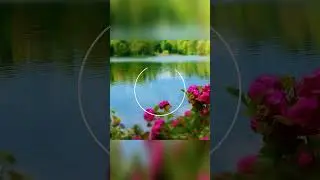 Её родственники привыкли решать проблемы за её счёт  
