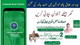 How to apply for Asset transfer to Rural Woman in South Punjab Online ||CM  Rural Woman Program 2024