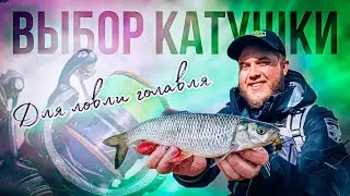 CHOOSING A REEL FOR CHUB FISHING